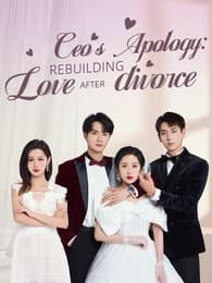 CEO's Apology: Rebuilding Love After Divorce(Subtitled Version2)